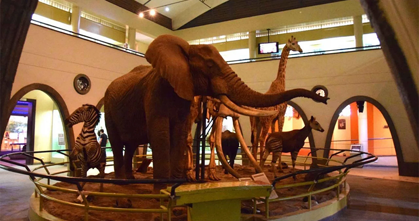 nairobi-national-museum-day-tour-1